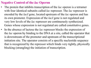 differernt types of Operon concepts