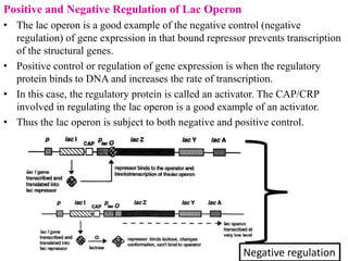 differernt types of Operon concepts