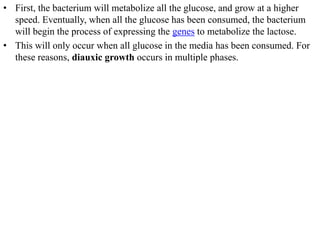 differernt types of Operon concepts