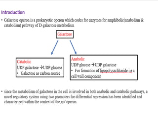 differernt types of Operon concepts