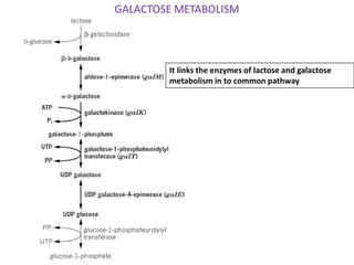 differernt types of Operon concepts