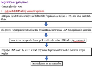 differernt types of Operon concepts