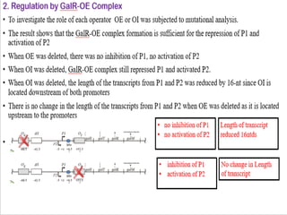 differernt types of Operon concepts