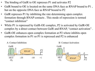 differernt types of Operon concepts