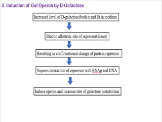 differernt types of Operon concepts