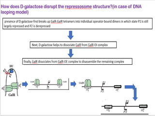 differernt types of Operon concepts