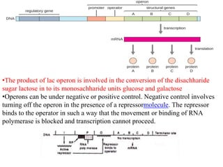 differernt types of Operon concepts