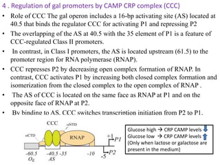 differernt types of Operon concepts