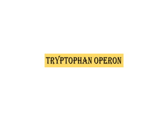 differernt types of Operon concepts