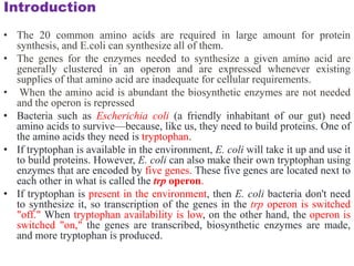 differernt types of Operon concepts