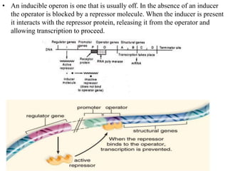 differernt types of Operon concepts