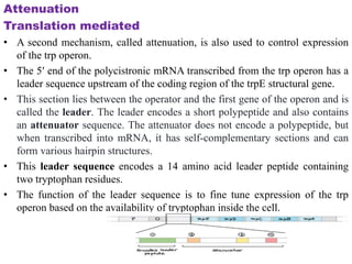 differernt types of Operon concepts