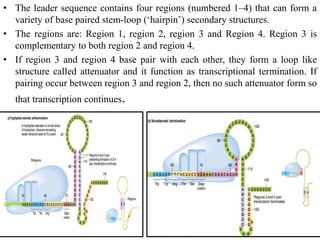 differernt types of Operon concepts