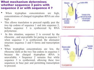 differernt types of Operon concepts