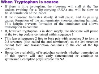 differernt types of Operon concepts