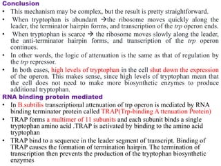 differernt types of Operon concepts