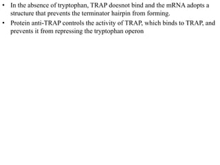 differernt types of Operon concepts