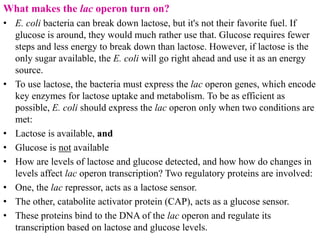 differernt types of Operon concepts