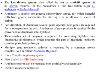 differernt types of Operon concepts