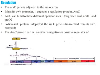 differernt types of Operon concepts