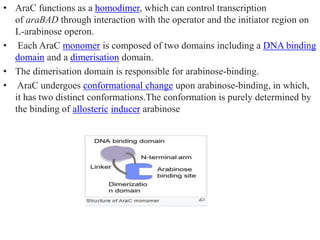 differernt types of Operon concepts