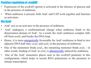 differernt types of Operon concepts