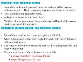 differernt types of Operon concepts