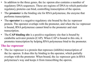 differernt types of Operon concepts