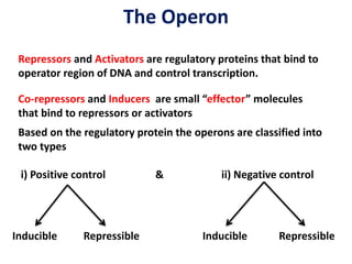 The Operon
Repressors and Activators are regulatory proteins that bind to
operator region of DNA and control transcription.
Co-repressors and Inducers are small “effector” molecules
that bind to repressors or activators
Based on the regulatory protein the operons are classified into
two types
i) Positive control & ii) Negative control
Inducible Repressible Inducible Repressible
 