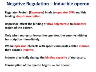 Negative Regulation – Inducible operon
Regulator Protein (Repressor) binds to operator DNA and this
binding stops transcription.
Repressor affect the binding of RNA Polymerase to promoter
region of the operon.
Only when repressor leaves the operator, the enzyme initiates
transcription immediately.
When repressor interacts with specific molecules called inducer,
they become inactive.
Inducer drastically change the binding capacity of repressors.
Transcription of the operon begins. --- Lac operon
 