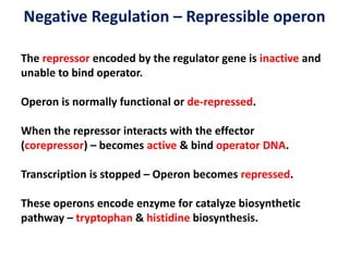 Negative Regulation – Repressible operon
The repressor encoded by the regulator gene is inactive and
unable to bind operator.
Operon is normally functional or de-repressed.
When the repressor interacts with the effector
(corepressor) – becomes active & bind operator DNA.
Transcription is stopped – Operon becomes repressed.
These operons encode enzyme for catalyze biosynthetic
pathway – tryptophan & histidine biosynthesis.
 