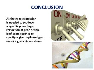 CONCLUSION
As the gene expression
is needed to produce
a specific phenotype ,
regulation of gene action
is of same essence to
specify a given a phenotype
under a given circumstance
 