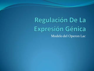 Regulación De La Expresión Génica  Modelo del Operon Lac 