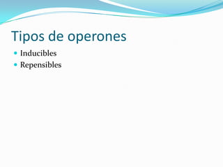 Tipos de operones Inducibles Repensibles