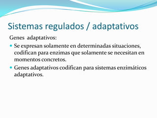 Sistemas regulados / adaptativosGenes  adaptativos:Se expresan solamente en determinadas situaciones, codifican para enzimas que solamente se necesitan en momentos concretos. Genes adaptativos codifican para sistemas enzimáticos adaptativos. 