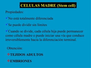 CELULAS MADRE (Stem cell) Propiedades:  No está totalmente diferenciada Se puede dividir sin límites Cuando se divide, cada célula hija puede permanecer como célula madre o puede iniciar una vía que conduce irreversiblemente hacia la diferenciación terminal. Obtención: TEJIDOS ADULTOS EMBRIONES 