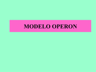 MODELO OPERON 