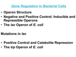 OPERONS- KHZ 2023.ppt