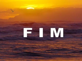 F I M  