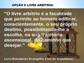 OPÇÃO E LIVRE ARBÍTRIO:
 