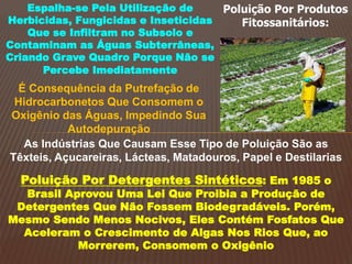 Poluição Por Produtos
Fitossanitários:
Espalha-se Pela Utilização de
Herbicidas, Fungicidas e Inseticidas
Que se Infiltram no Subsolo e
Contaminam as Águas Subterrâneas,
Criando Grave Quadro Porque Não se
Percebe Imediatamente
É Consequência da Putrefação de
Hidrocarbonetos Que Consomem o
Oxigênio das Águas, Impedindo Sua
Autodepuração
As Indústrias Que Causam Esse Tipo de Poluição São as
Têxteis, Açucareiras, Lácteas, Matadouros, Papel e Destilarias
Poluição Por Detergentes Sintéticos: Em 1985 o
Brasil Aprovou Uma Lei Que Proibia a Produção de
Detergentes Que Não Fossem Biodegradáveis. Porém,
Mesmo Sendo Menos Nocivos, Eles Contém Fosfatos Que
Aceleram o Crescimento de Algas Nos Rios Que, ao
Morrerem, Consomem o Oxigênio
 