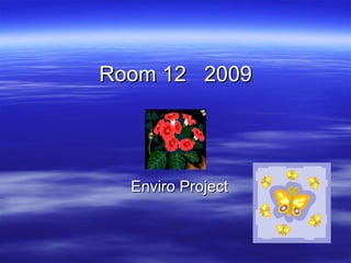 Room 12  2009 Enviro Project 