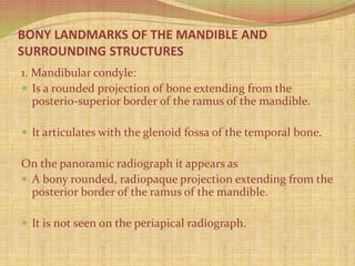 BONY LANDMARKS OF THE MANDIBLE AND
SURROUNDING STRUCTURES
1. Mandibular condyle:
 Is a rounded projection of bone extending from the
posterio-superior border of the ramus of the mandible.
 It articulates with the glenoid fossa of the temporal bone.
On the panoramic radiograph it appears as
 A bony rounded, radiopaque projection extending from the
posterior border of the ramus of the mandible.
 It is not seen on the periapical radiograph.
 