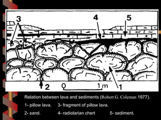 Relation between lava and sediments (Robert G. Coleman 1977).
1- pillow lava. 3- fragment of pillow lava.
2- sand. 4- radiolarian chert 5- sediment.
 