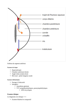 Schéma du segment antérieur
Facteurs de risque
• Hypermétropie
• Chambre antérieure étroite
• Angle irido-cornéen étroit
• Œil court : petite longueur axiale
Facteurs déclenchants
• Passage à l'obscurité
• Iatrogène :
• Anesthésie générale
• TTT sympathomimétiques, parasympatholytiques
• ATD tricycliques
Examen clinique
Le diagnostic est clinique +++
• Examen bilatéral et comparatif
 