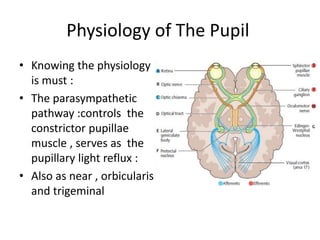 Physiology of The Pupil
• Knowing the physiology
is must :
• The parasympathetic
pathway :controls the
constrictor pupillae
muscle , serves as the
pupillary light reflux :
• Also as near , orbicularis
and trigeminal
 