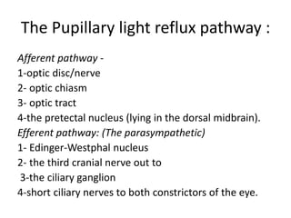 The Pupillary light reflux pathway :
Afferent pathway -
1-optic disc/nerve
2- optic chiasm
3- optic tract
4-the pretectal nucleus (lying in the dorsal midbrain).
Efferent pathway: (The parasympathetic)
1- Edinger-Westphal nucleus
2- the third cranial nerve out to
3-the ciliary ganglion
4-short ciliary nerves to both constrictors of the eye.
 