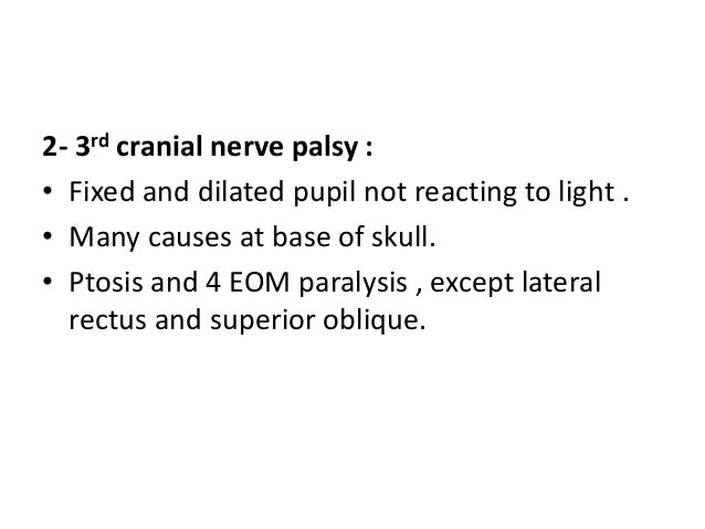 Cranial nerve causing fixed dilated pupil - reviewgulf
