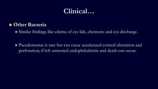 Clinical…
 Other Bacteria
 Similar findings like edema of eye lids, chemosis and eye discharge.
 Pseudomonas is rare but can cause accelerated corneal ulceration and
perforation; if left untreated endophthalmitis and death can occur.
 