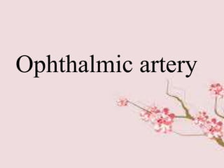 Ophthalmic artery
 